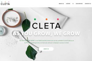 Cleta Web Deisgn